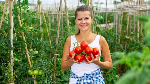 Find your seasonal job in Europe